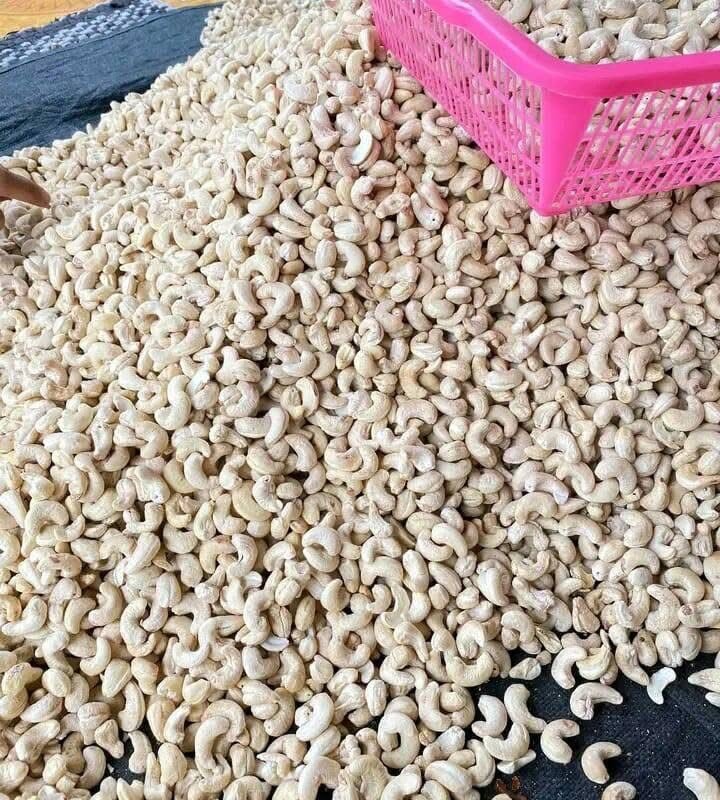 raw cashew nuts