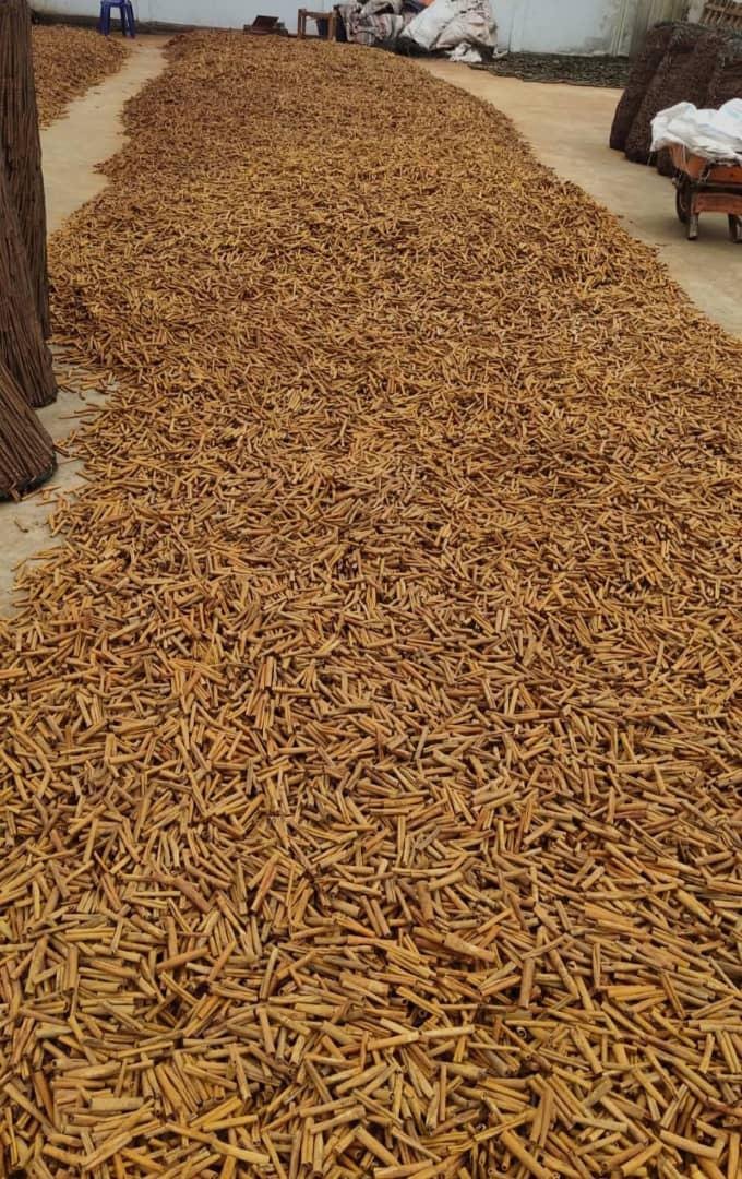 ceylon cinnamon sticks