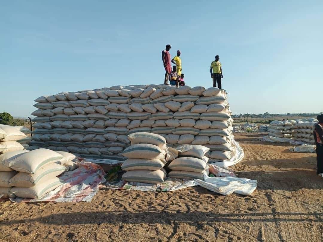 wholesale cashew nuts