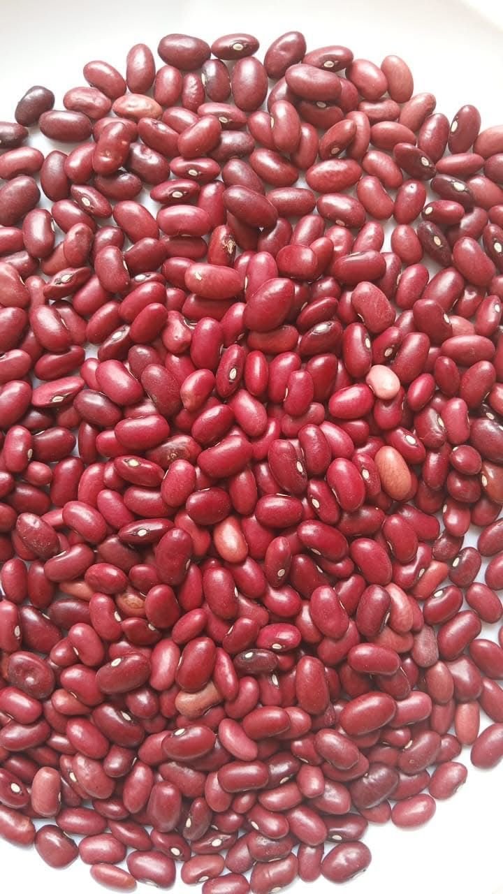 red kidney beans