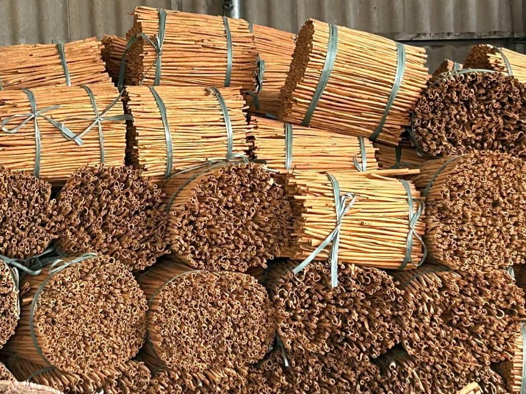 organic ceylon cinnamon