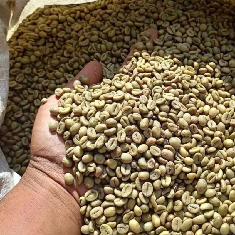 arabica coffee beans