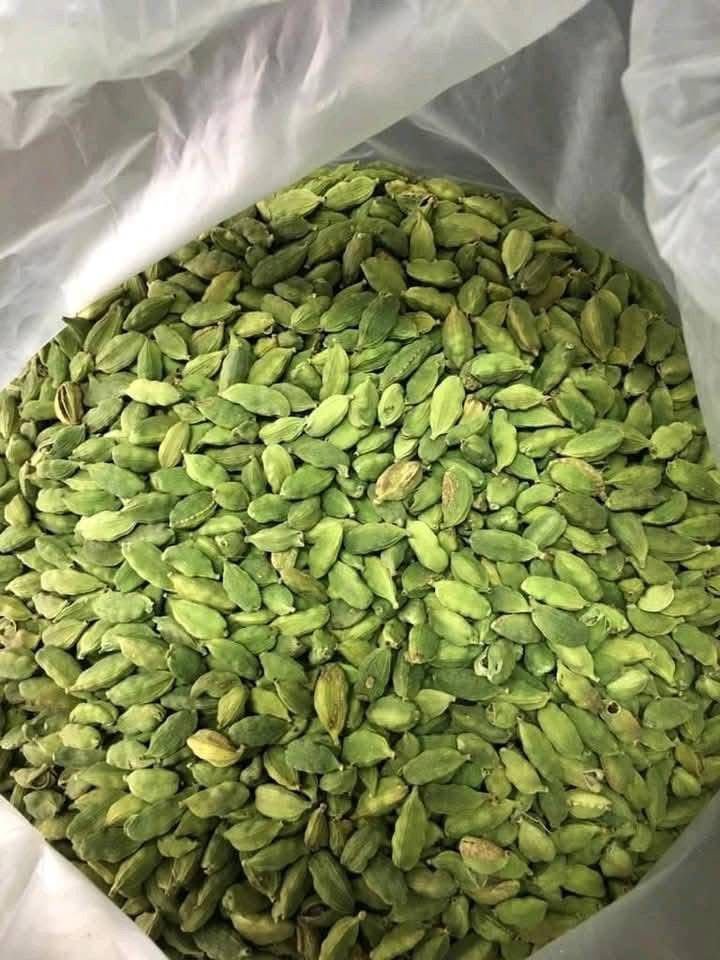 green cardamom